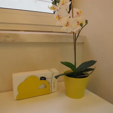 Casa Amarela Yellow House *